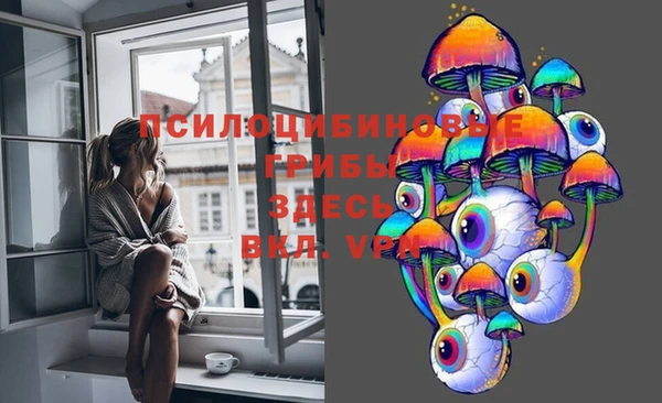 тгк Магас